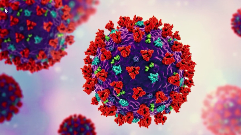 Xuất hiện biến thể Covid-19 mới có đột biến cao 2