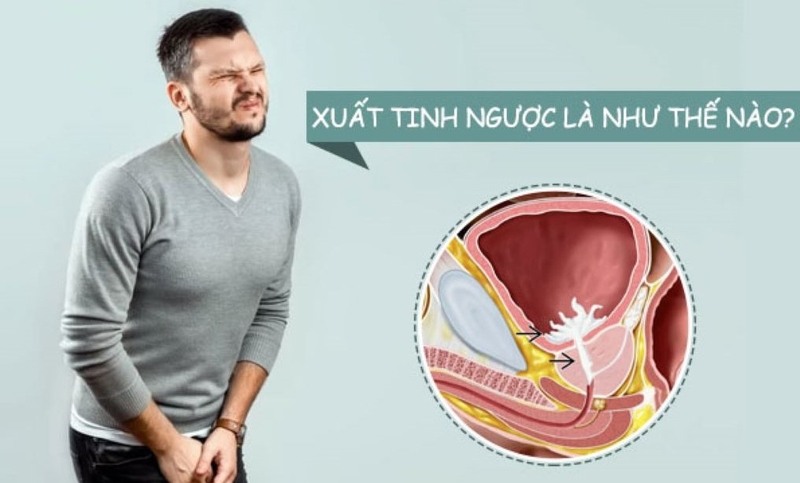 Xuất tinh ngược gây ảnh hưởng đến hạnh phúc gia đình 1