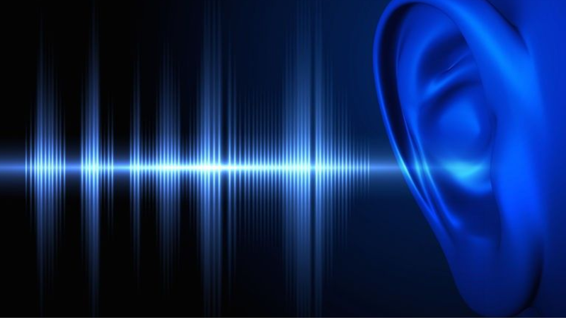 xuong-chum-la-gi-co-chuc-nang-gi-doi-voi-co-the 3.png