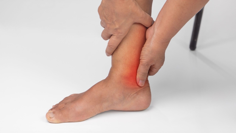 Xương cổ chân giúp nâng đỡ cơ thể, hấp thụ lực và tạo chuyển động khi vận động