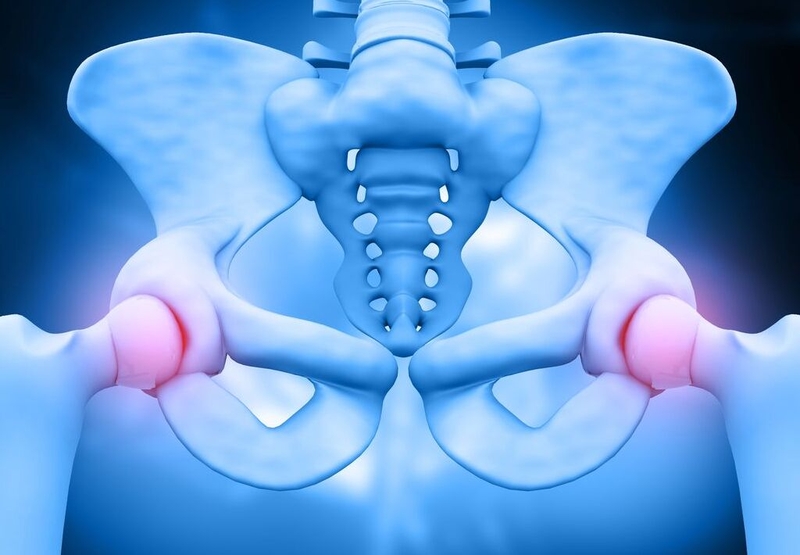 Xương mu nhô cao vì sao? Ảnh hưởng của xương mu nhô cao đối với cuộc sống của nữ giới 1