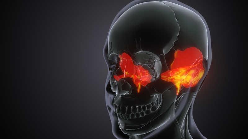 Xương thái dương vừa có tính bảo vệ và điểm tựa cho hàm, tai và đầu