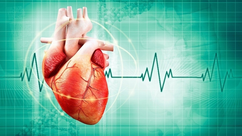 y-nghia-ket-qua-sieu-am-tim-kieu-tm 2.jpg