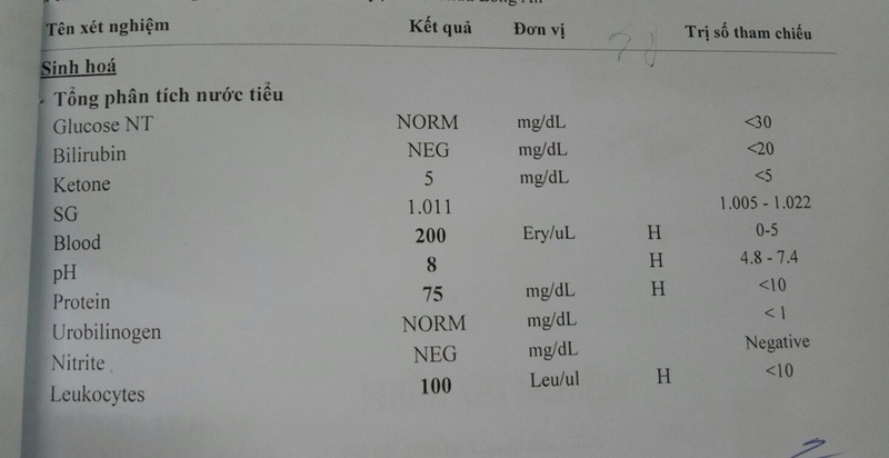 Ý nghĩa NORM là gì trong kết quả xét nghiệm nước tiểu? Lưu ý khi đọc kết quả 1