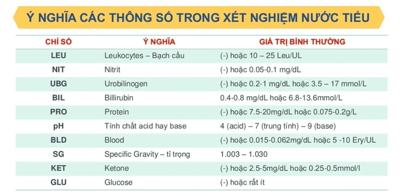 Ý nghĩa NORM là gì trong kết quả xét nghiệm nước tiểu? Lưu ý khi đọc kết quả 3