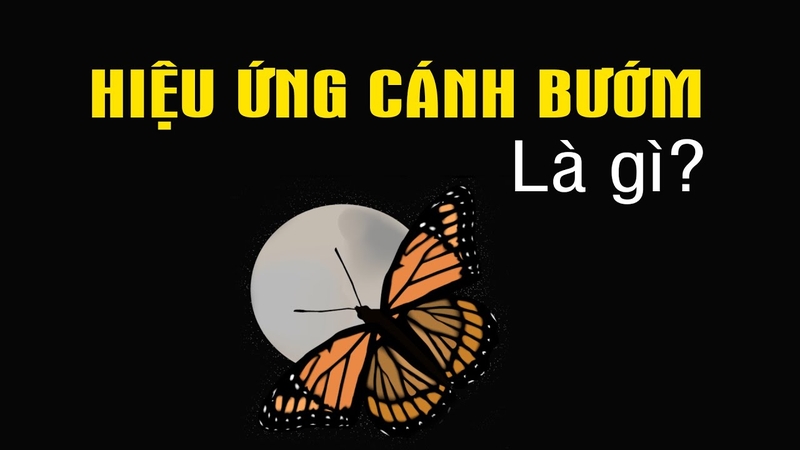 Hiệu ứng cánh bướm là một hiện tương được nhắc đến như một học thuyết hỗn loạn của tạo hóa