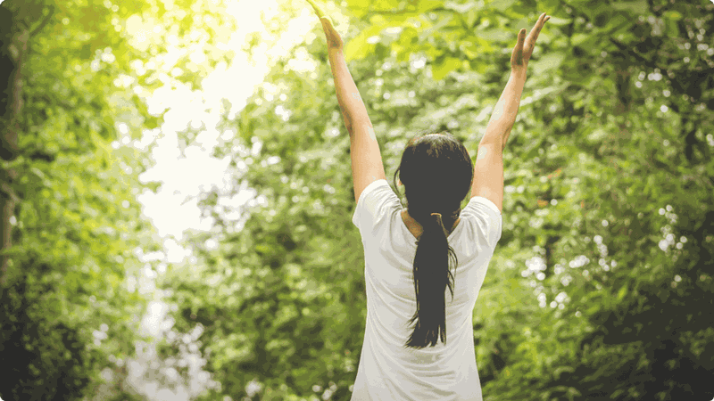 Hiệu ứng cánh bướm tác động nhất đến cuộc sống con người không theo một quy luật nhất định