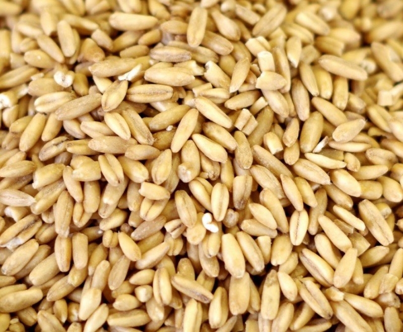 Yến mạch ăn sống được không? Những điều cần biết-1