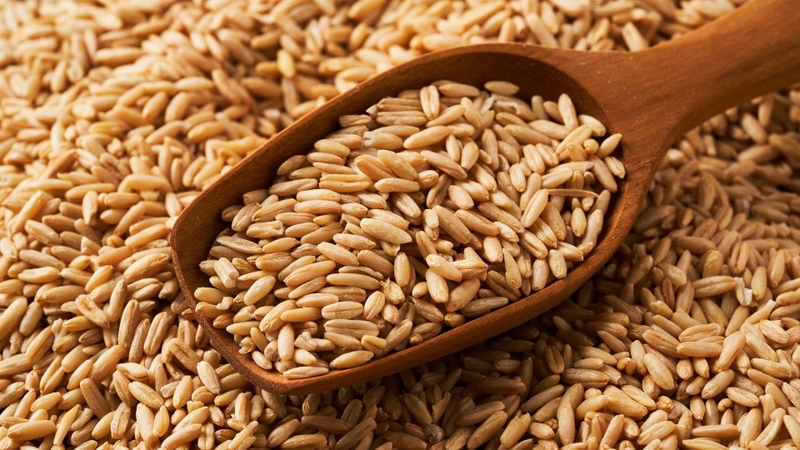 Yến mạch nguyên cám là gì? Phân biệt yến mạch nguyên cám và yến mạch nguyên chất 2