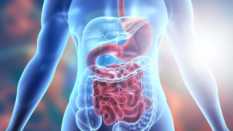 Yến sào bao nhiêu calo​? Một số lưu ý khi sử dụng yến sào 2