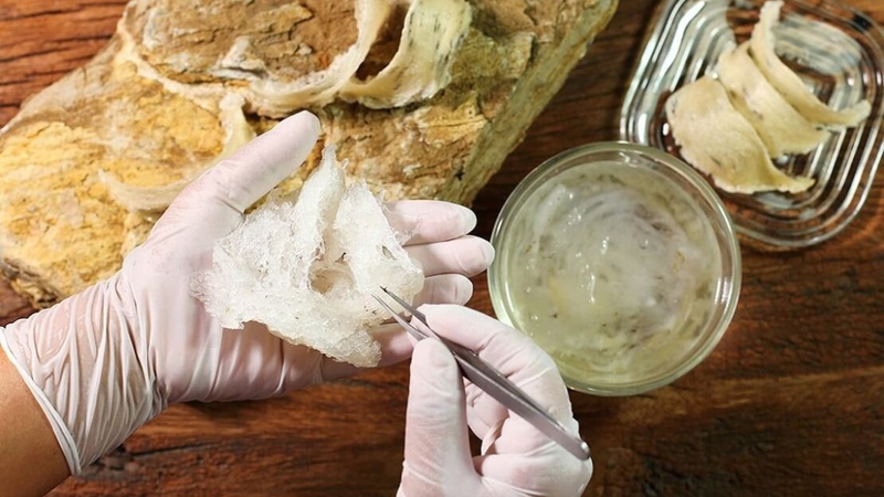 Đây là loại yến có nhiều ưu điểm vượt trội hơn so với yến tinh chế