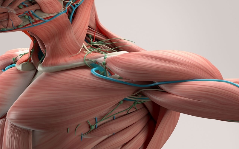 Yoga cho nam giới có thực sự hiệu quả hay không? 1