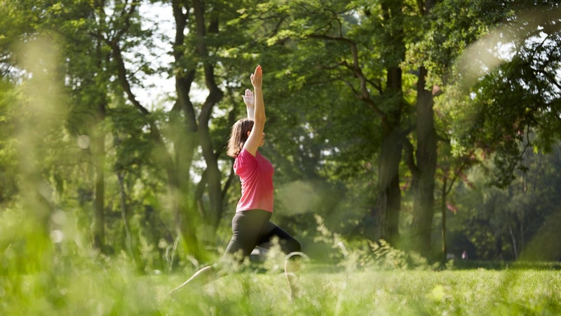 Tập yoga đúng cách giúp cơ thể dẻo dai và khỏe mạnh hơn