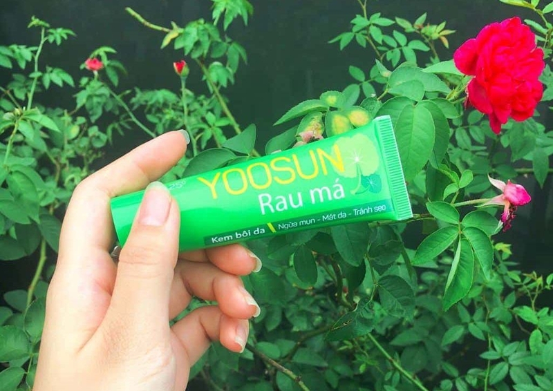 Yoosun có mấy loại? Review chi tiết Yoosun rau má
