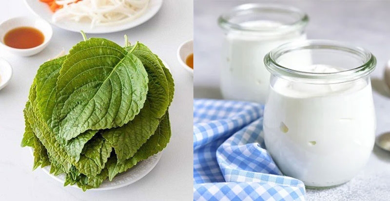 Công dụng làm đẹp bất ngờ của lá tía tô 2