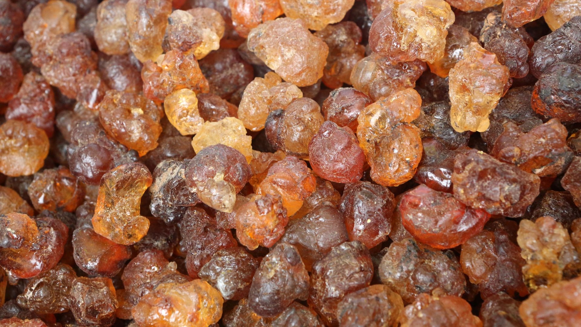 Hình ảnh Balsam of Peru