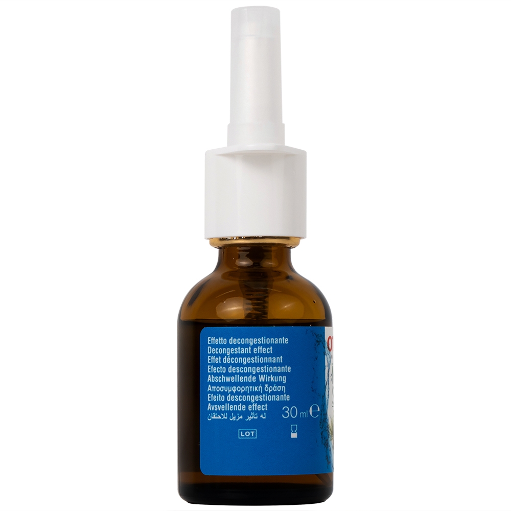 Hình ảnh Dung dịch xịt mũi Otosan Nasal Spray Forte hỗ trợ điều trị viêm mũi, viêm xoang (30ml)