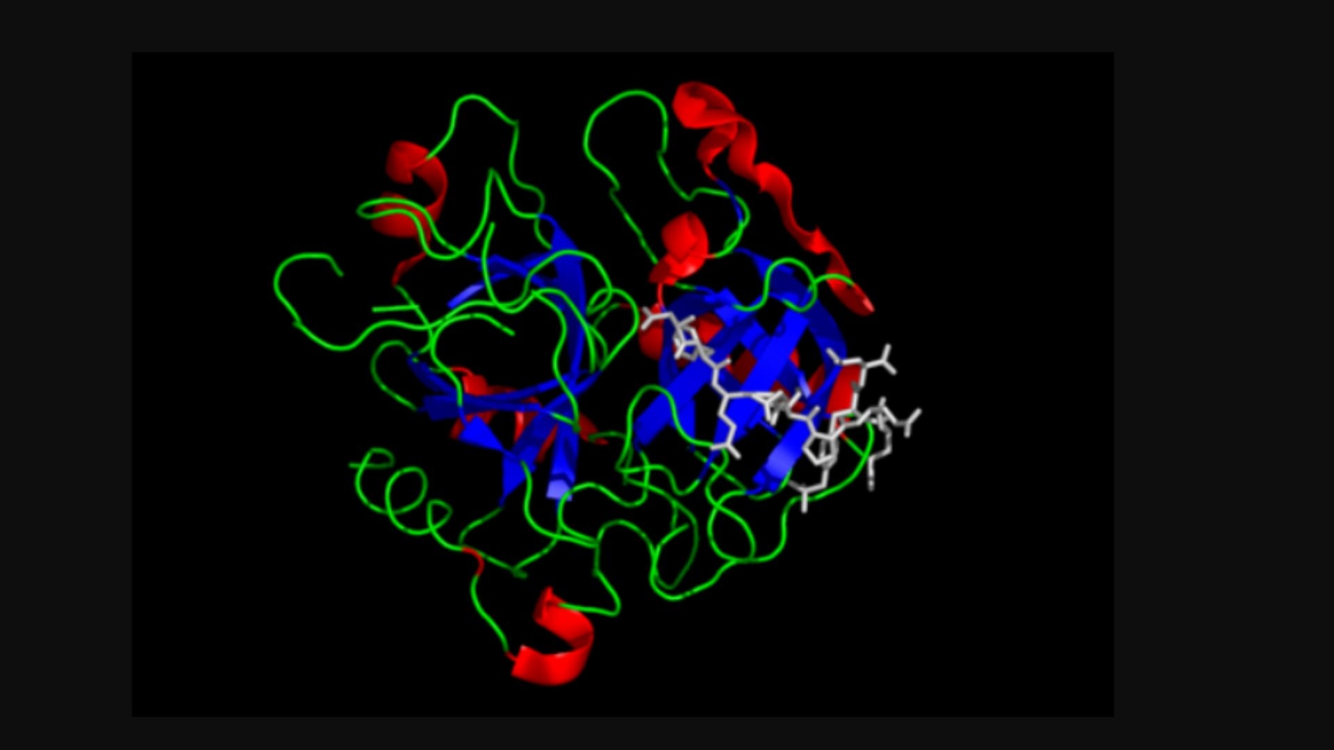 Hình ảnh Human Thrombin