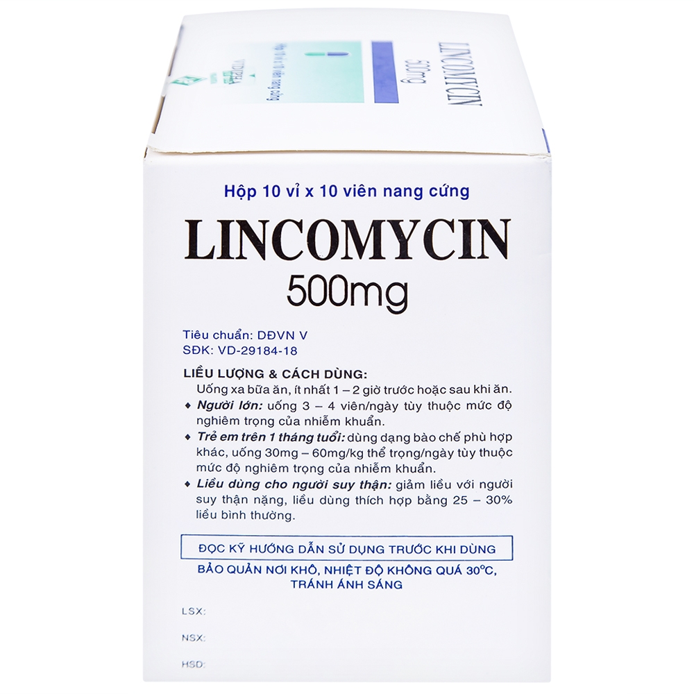 Hình ảnh Thuốc Lincomycin 500mg Vidipha điều trị nhiễm khuẩn tai mũi họng, phế quản, phổi (10 vỉ x 10 viên)