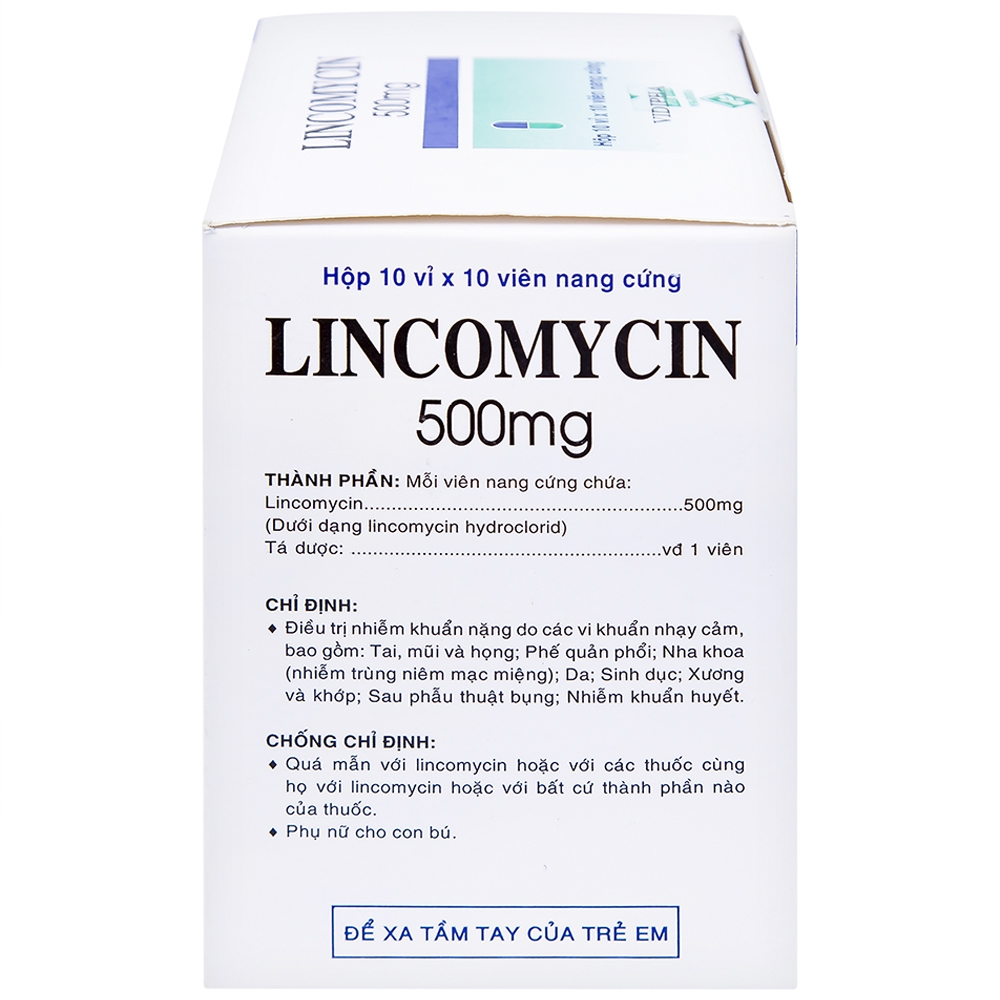 Hình ảnh Thuốc Lincomycin 500mg Vidipha điều trị nhiễm khuẩn tai mũi họng, phế quản, phổi (10 vỉ x 10 viên)