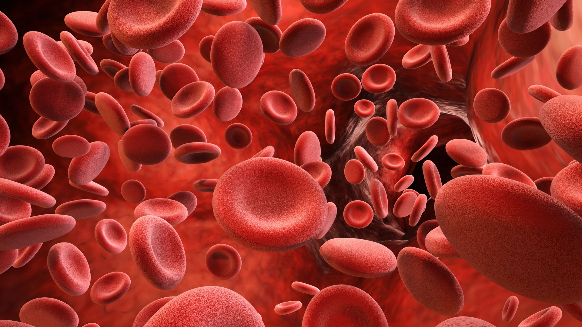 Hình ảnh Thrombin