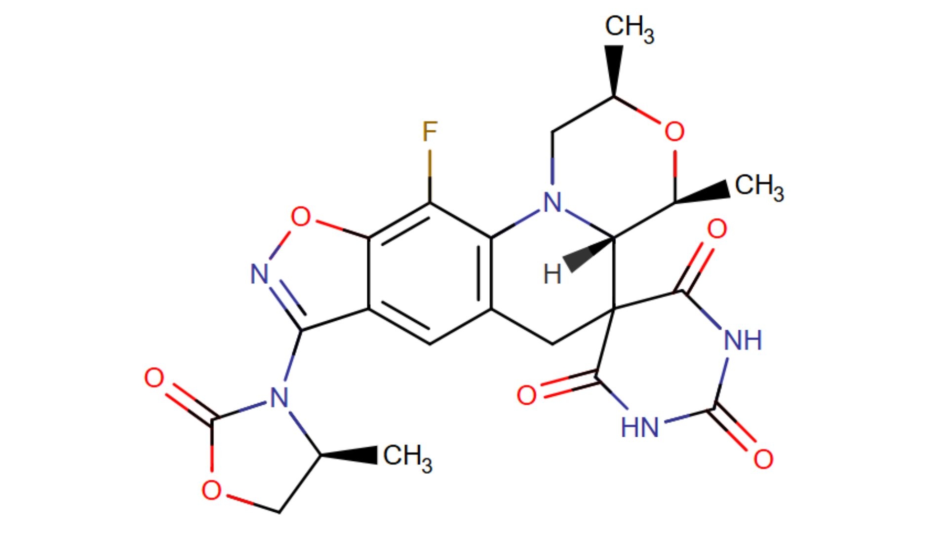 Hình ảnh Zoliflodacin