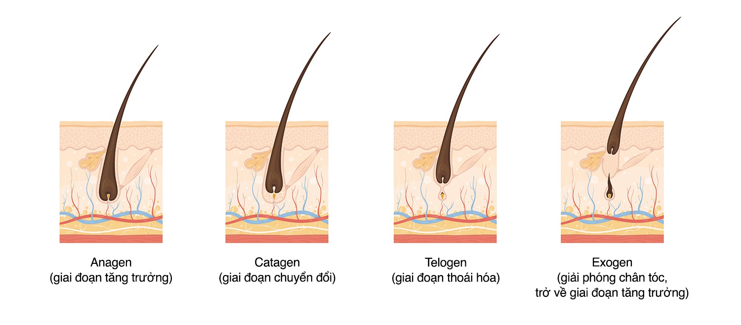 7 cách làm rụng lông chân an toàn, đảm bảo lông không mọc lại