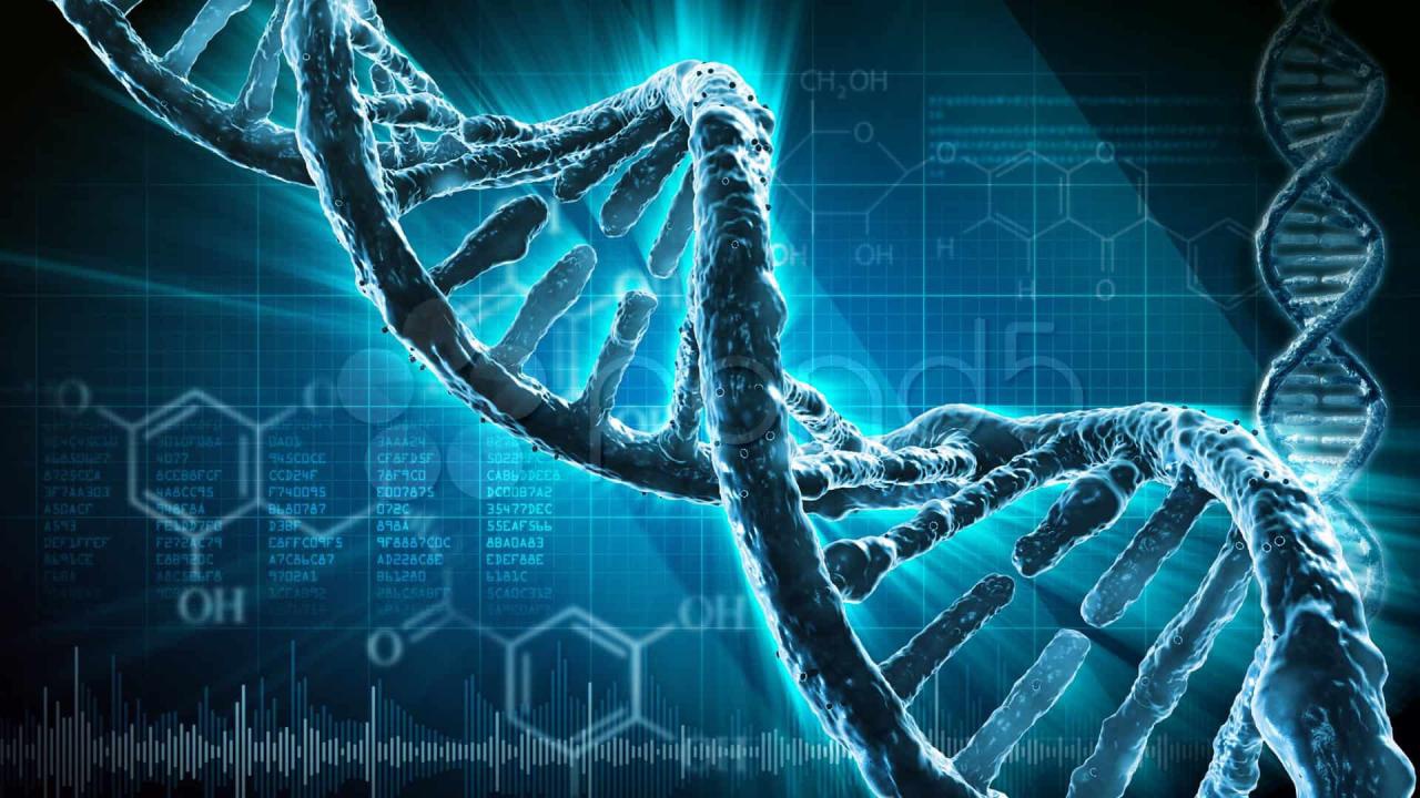Khám phá ADN có ở đâu trong tế bào? - Nhà thuốc FPT Long Châu