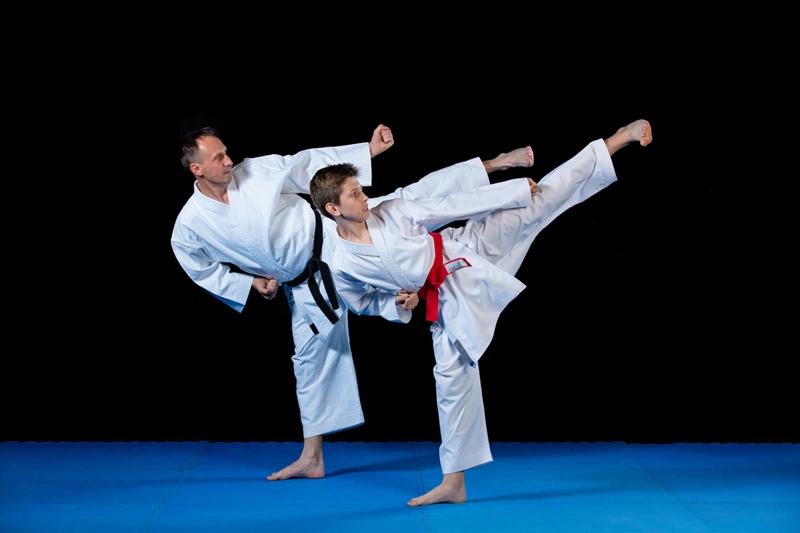 Hình ảnh Dễ Thương Vật Liệu Vector Cậu Bé Judo PNG Miễn Phí Tải Về  Lovepik