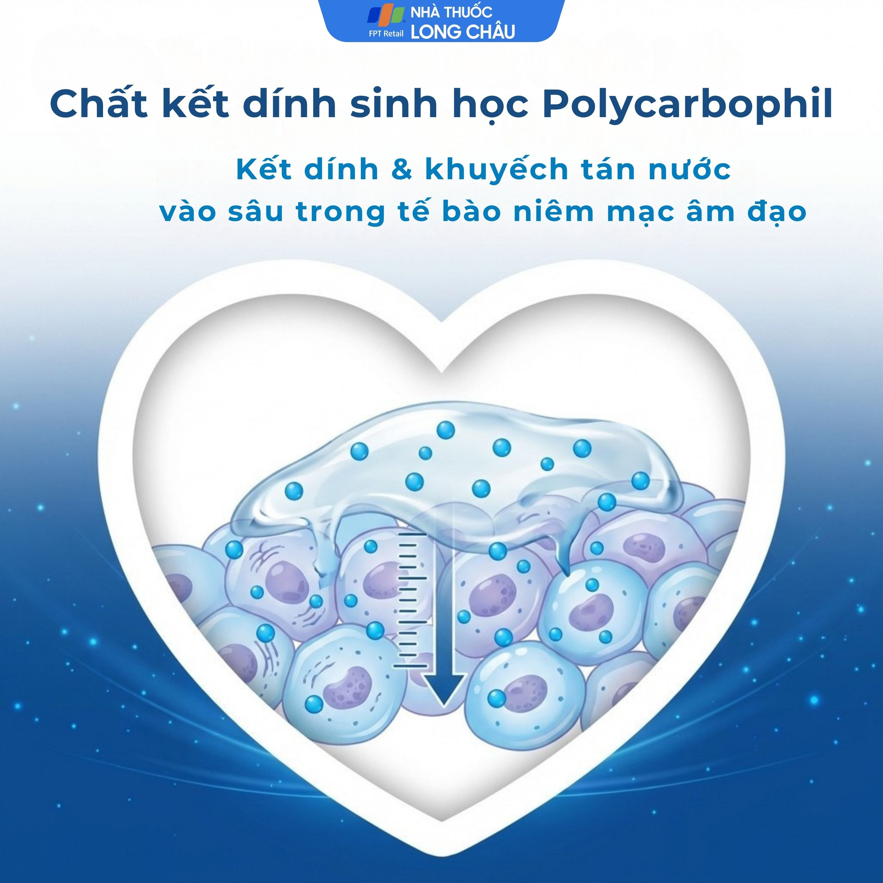 Hình ảnh Gel phụ khoa Regelle hộp (6 tuýp) giúp giữ ẩm, giảm nhanh các triệu chứng khô, ngứa rát, khó chịu của âm đạo