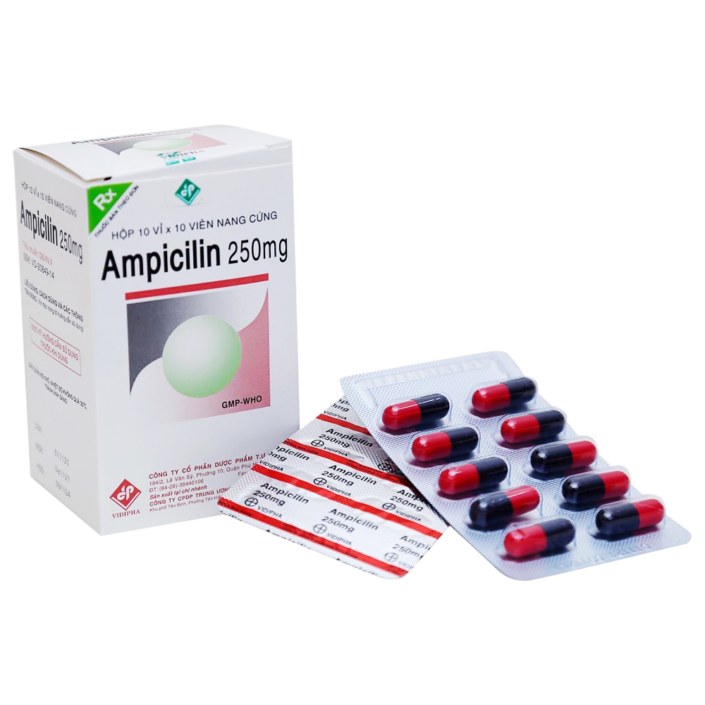 Thuốc Ampicilin 250mg Vidipha điều trị nhiễm khuẩn (10 vỉ x 10 viên)