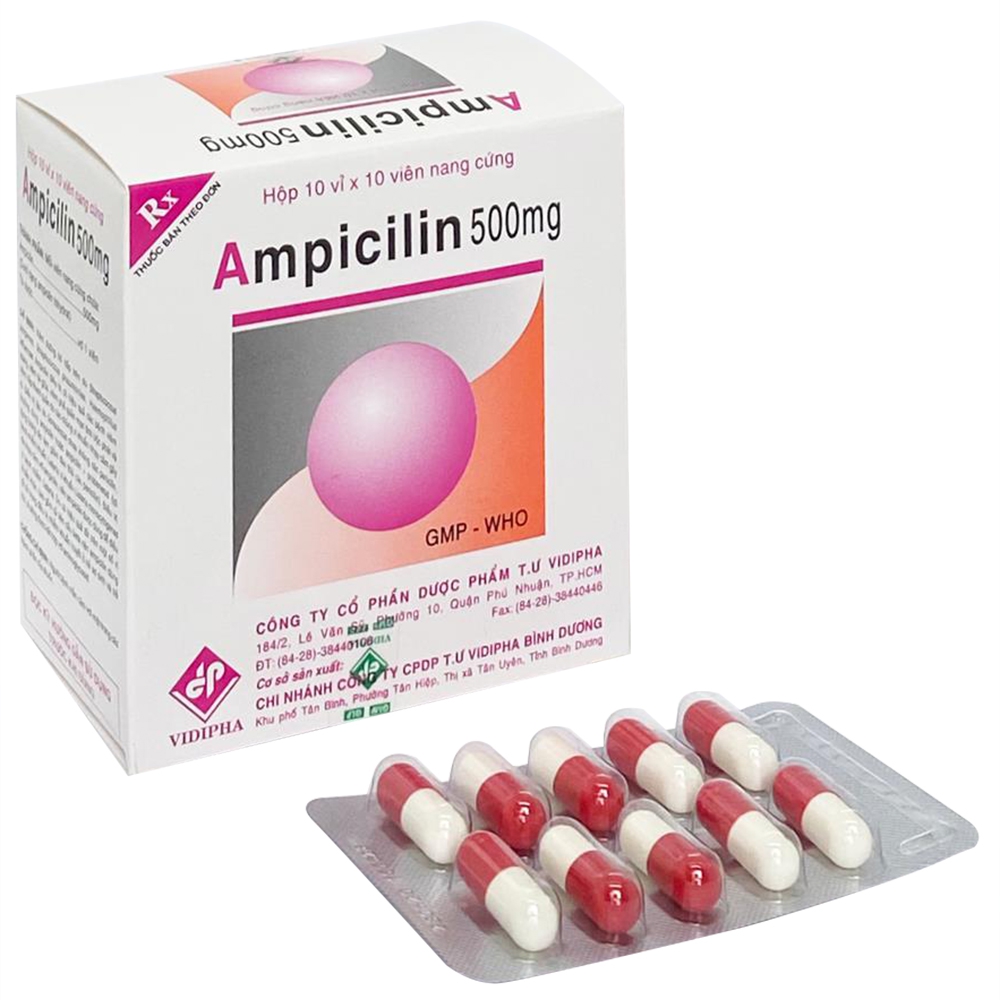 Ampicilin mg Vidipha Thuốc trị nhiễm khuẩn vỉ x viên