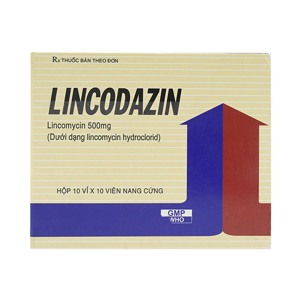 Thuốc Lincodazin 500mg Vidipha điều trị nhiễm khuẩn tai mũi họng, phế quản, phổi (10 vỉ x 10 viên)