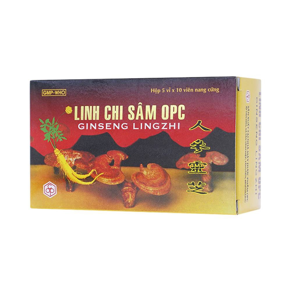 Viên nang cứng Linh Chi Sâm OPC bổ khí, dưỡng huyết, dưỡng tâm an thần, hạ cholesterol (5 vỉ x 10 viên)