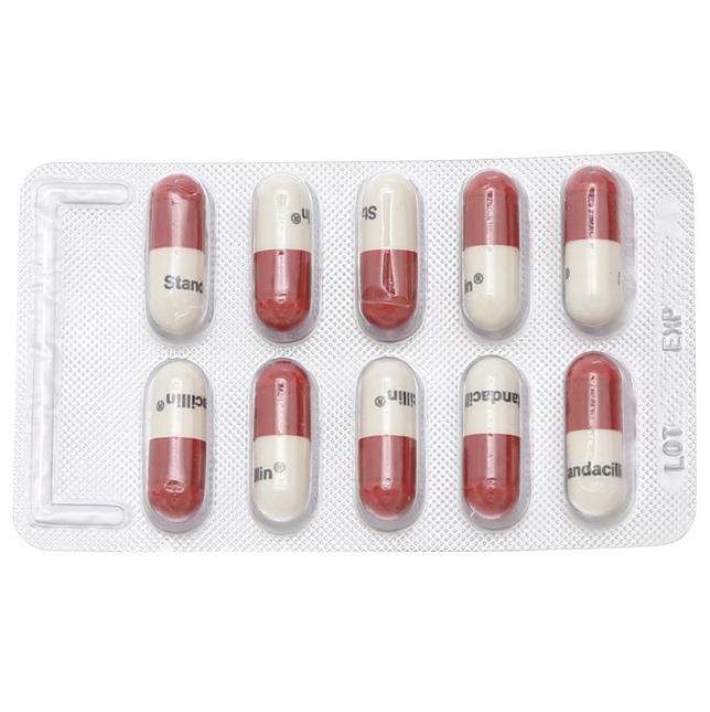 Thuốc Standacillin điều trị nhiễm trùng, viêm màng não (100 vỉ x 10 viên)