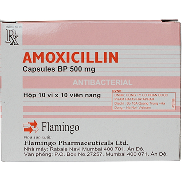 Thuốc Amoxicillin Capsules BP 500mg Flamingo điều trị nhiễm khuẩn (10 vỉ x 10 viên)