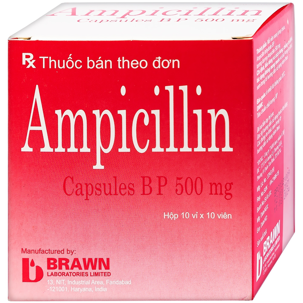 Thuốc Ampicillin Capsules BP 500mg Brawn điều trị nhiễm khuẩn (10 vỉ x 10 viên)