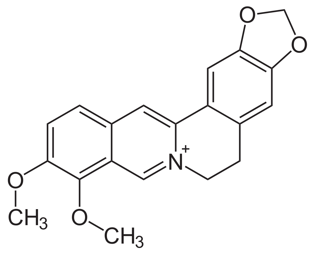 Heliotropin  là trung gian để tổng hợp berberine.