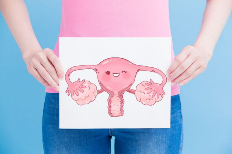Nội mạc tử cung là gì? Chức năng và các bệnh lý thường gặp của nội mạc tử cung 2