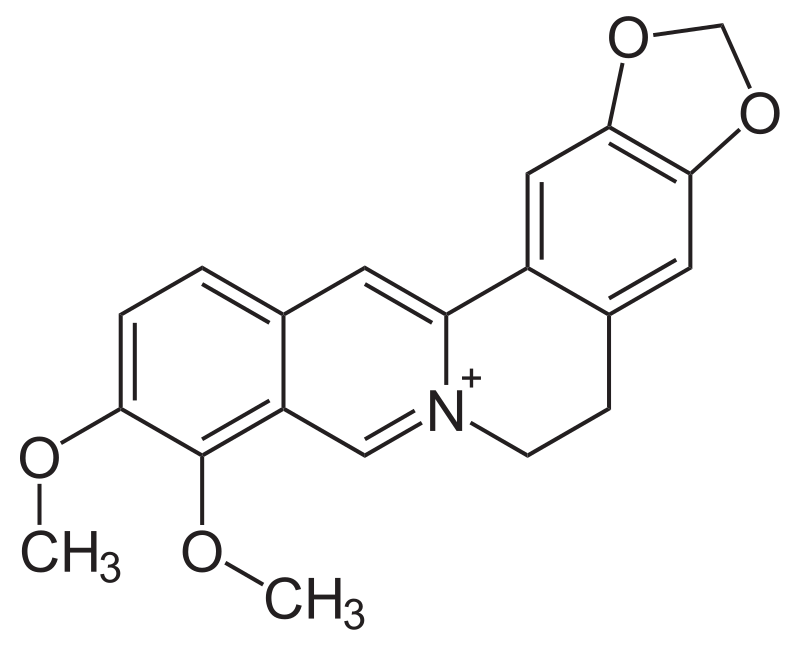 Berberine là alkaloid có trong thổ hoàng liên