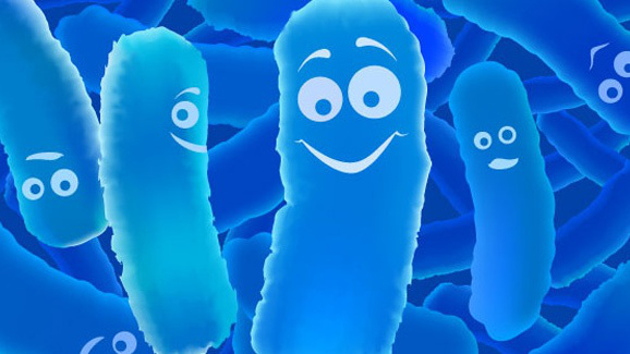 Bifidobacterium là gì? Công dụng và liều dùng 1