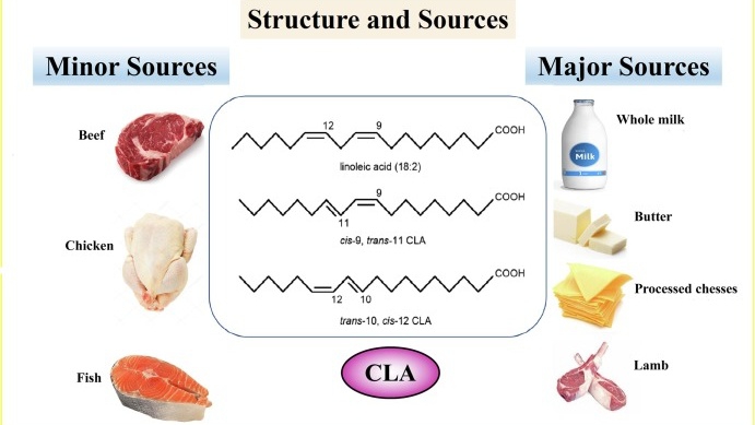 CLA là gì? Lợi ích sức khỏe mà CLA mang lại