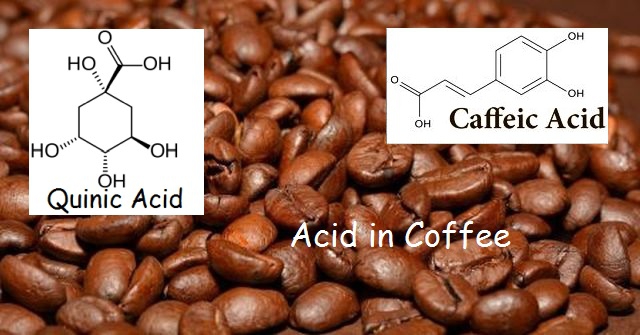 Caffeic Acid là gì? Công dụng của Caffeic Acid trong mỹ phẩm.4