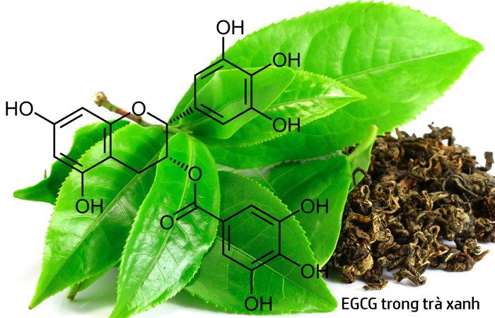 Chất chống oxy hóa trong trà xanh 03