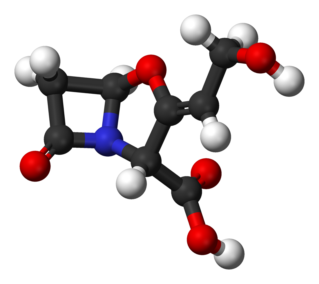 Tazobactam là một dẫn xuất sulfone axit penicillanic và chất ức chế beta-lactamase