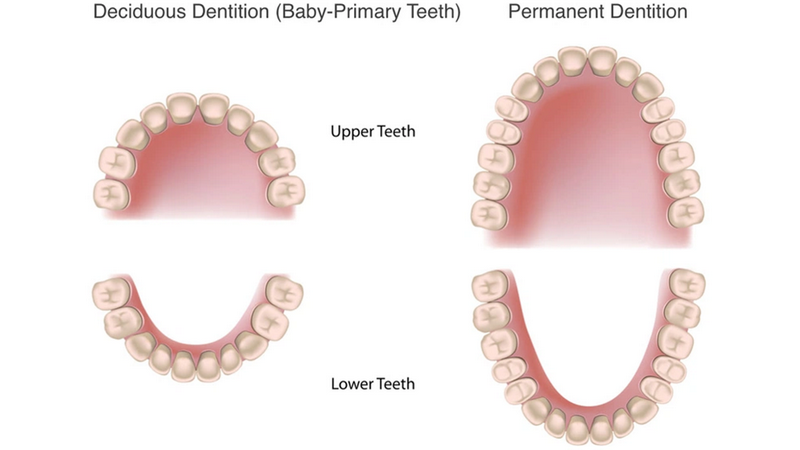 Điều trị và phòng ngừa sún răng sớm ở trẻ nhỏ 3