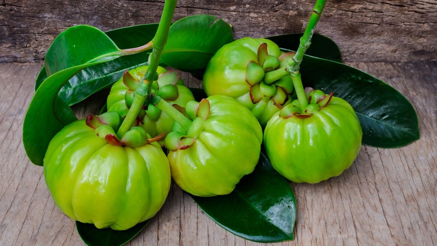 Garcinia Cambogia là gì và có tác dụng gì?