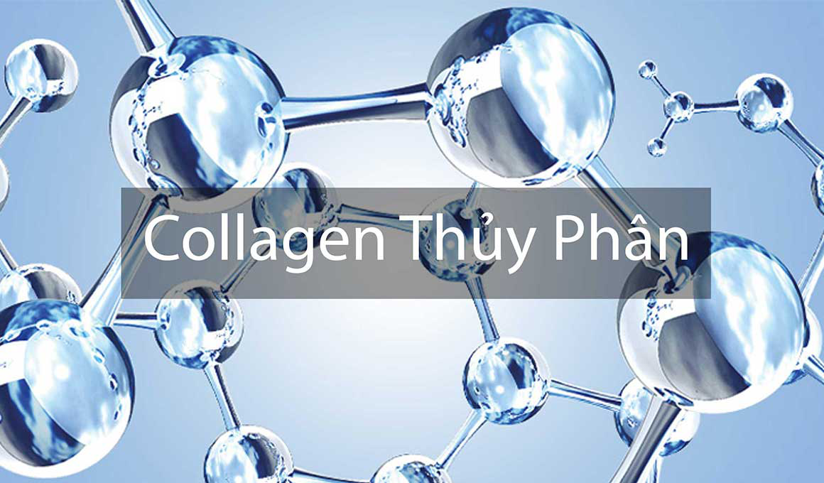 Hydrolyzed Collagen là gì? Công dụng của Hydrolyzed Collagen đối với làn da.1