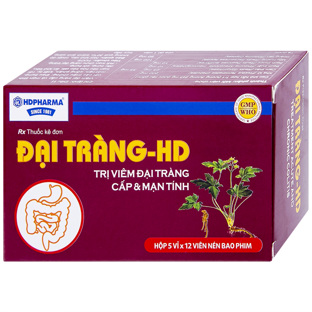 Thuốc Đại Tràng-HD điều trị viêm đại tràng cấp và mạn tính (5 vỉ x 12 viên)