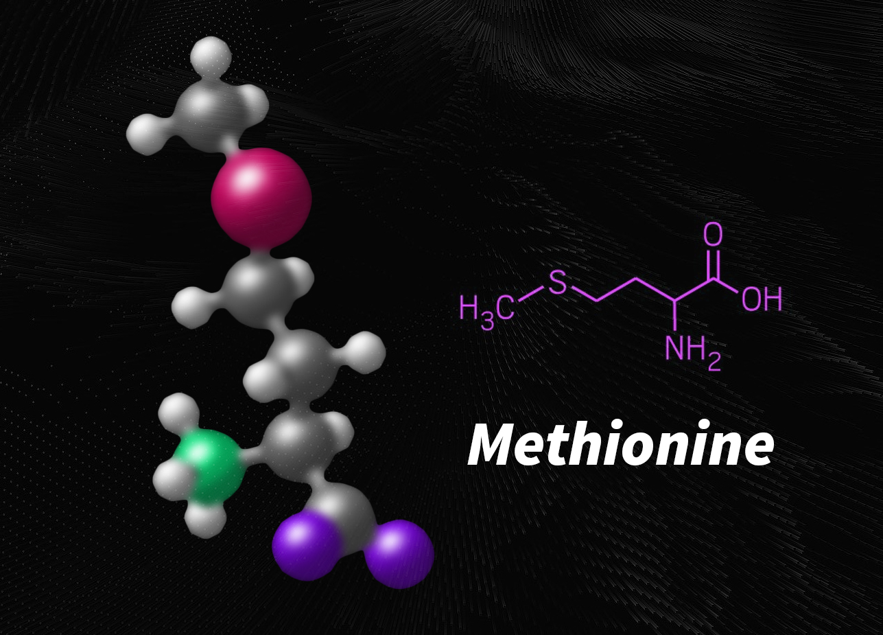 Methionin là gì?-1